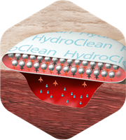 Illustration showing the ideal wound healing environment.